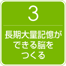 3.長期大量記憶ができる脳をつくる